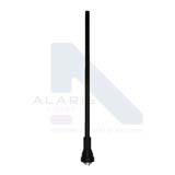 Extremely wideband dual-port antenna for high power applications